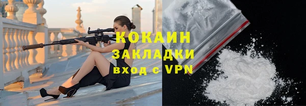 дурь Бородино