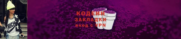 дурь Бородино