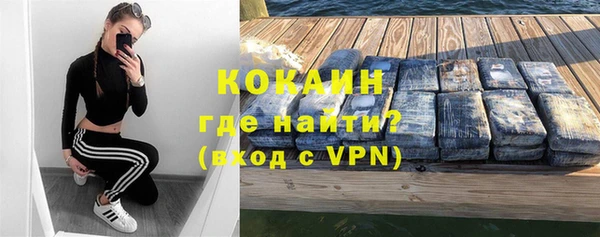 дурь Бородино