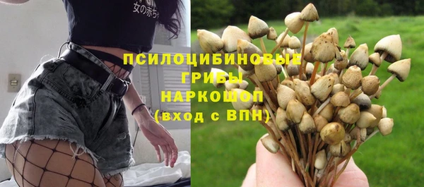 дмт Белокуриха