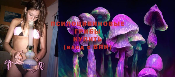 дурь Бородино