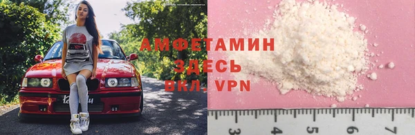 дурь Бородино