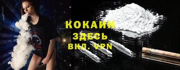 дурь Бородино