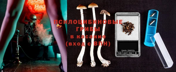 дурь Бородино
